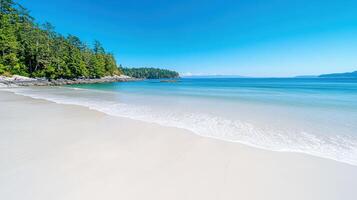 A sandy beach with white water and trees photo
