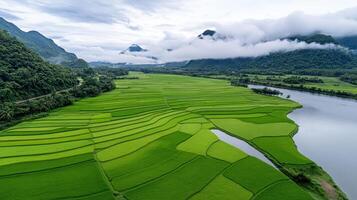 Aerial view of rice terraces in vietnam photo