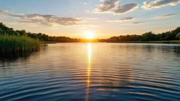 The sun is setting over a lake with grass and trees photo