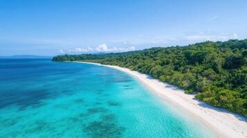 The beautiful beach in the tropical forest in the philippines photo