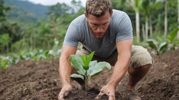 A man kneeling down in the dirt with a young plant photo
