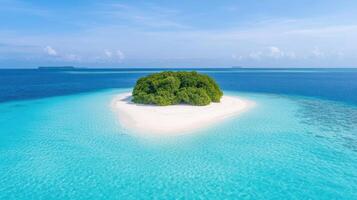 Island in the middle of the ocean with a small tree on it photo