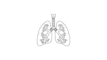 Hand drawn Continuous Drawing One line animation of human lung structure Concept of breathing health and anatomy expressed through minimal artistic illustration video