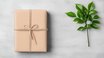 Gift box with twine and green leaf on white background top view photo
