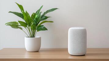 Google home mini smart speaker photo