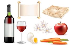 Passover Elements Original set vector