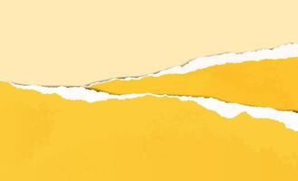 Yellow Torn paper Realistic background vector