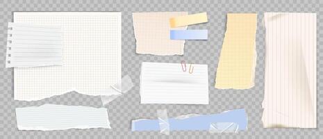 Torn paper collection Realistic on transparent background vector
