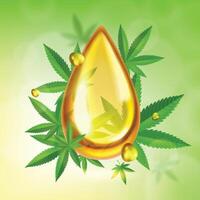 CBD Oil Drop Composition vector