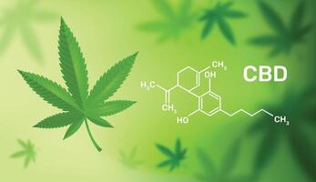 CBD Marijuana Background vector