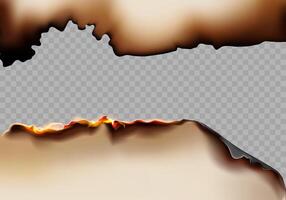 Burned paper Realistic background vector