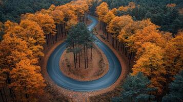 winding road through vibrant autumn forest showcases stunning orange and yellow leaves, creating picturesque scene that evokes sense of tranquility and adventure photo