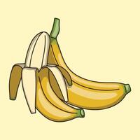 Peeled and whole fresh banana isolated on yellow background vector