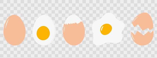 Egg condition options Whole Boiled Fried and Cracked Eggshell Recipe or Menu card design concept Set. Isolated illustration Thematic Cards, web promo banner, leaflets, print material, price tag vector
