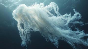 A jellyfish floating in the ocean photo