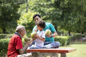 Grandpa With Son Enjoying Drinking Fresh Coconut Water photo