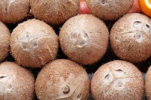 Close-Up of Fresh Coconuts with Brown Textured Shells in a Market Display photo