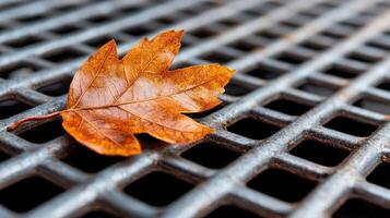 Autumn leaf resting on a metal grate photo