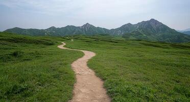 A winding path leads through a green meadow towards distant mountains photo