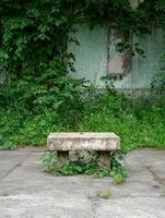 An old concrete bench surrounded by overgrown greenery photo