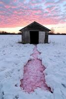 Rustic shed in a snowy field at sunset with a pink path photo