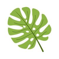 A green leaf with a white background. The leaf is large and has a lot of detail. It looks like a palm leaf vector