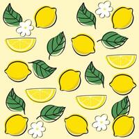 Seamless pattern with lemon and white flowers on yellow background vector