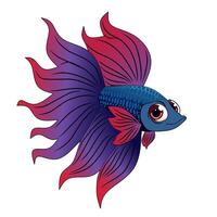 colorful illustration of a betta fish with vibrant blue, purple, and red fins. This cartoon style drawing features expressive eyes and elegant flowing fins, vector