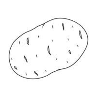 Linear drawing of potatoes. A simple hand-drawn contour illustration of a raw vegetable with details of the peel. It is ideal for coloring books, decorating food, menus and culinary projects. vector