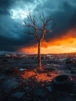 Environmental Decay Featuring Tires and Withered Flora photo