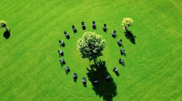 aerial view of black chairs arranged in a circle around a tree on a green lawn photo