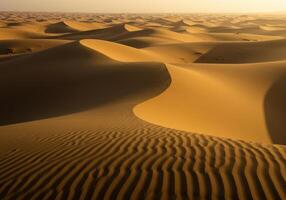 Magnificent golden sand dunes create beautiful textures and patterns in the vast desert. photo