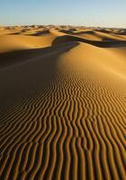Sweeping sand dunes create mesmerizing patterns in this vast, sun-drenched desert. photo