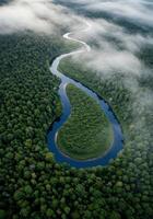 A serene river meanders through a dense green forest under a blanket of soft fog. photo