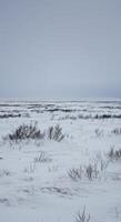 A serene view of a snow covered landscape, under a vast, overcast sky, a winter scene. photo