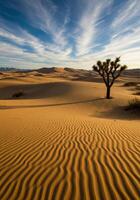 The iconic Joshua tree stands tall in the desert landscape, under a stunning blue sky and clouds. photo