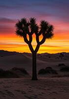 Dramatic sunset illuminates a Joshua tree in a serene desert landscape. photo
