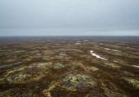 A vast wetland stretches under a cloudy sky, creating a serene and natural scene. photo