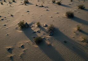 A stunning aerial view captures the undulating patterns of desert sand and sparse vegetation. photo