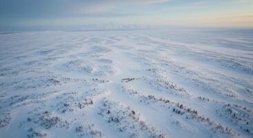 An expansive aerial view of a snow covered terrain with low growing shrubs at dawn. photo