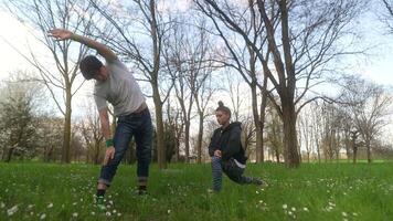 Dynamic Duet An InDepth Exploration of the Intricacies of Movement and Beauty Found Within Nature video