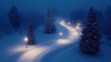 Serene Winter Night Scene Snowy Path Winding Through a Lighted Park with Fir Trees photo