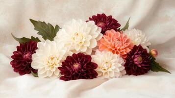 Elegant Dahlia Blooms A Stunning Collection of Cream Peach and Burgundy Dahlias photo