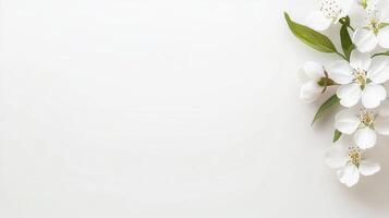 Delicate White Blossoms on a Pure White Background Spring Floral Arrangement photo