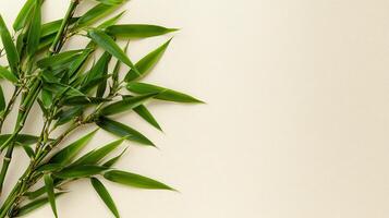 Lush Green Bamboo Branches on Beige Background Perfect for Spa Wellness or Nature Designs photo