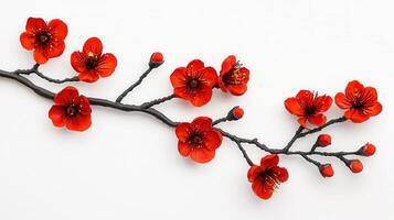 Stunning Red Plum Blossoms Branch Isolated on White Background Perfect for Spring or Chinese New Year Designs photo