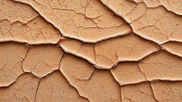 Detailed Close Up of Dry Cracked Earth Texture Drought Pattern Background Image photo