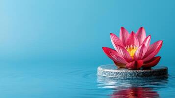 Serene Pink Water Lily Blossom Floating on Calm Blue Water a Peaceful Zen Spa Image photo