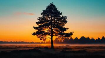 Majestic Lone Tree Silhouette at Sunrise over Misty Meadow Peaceful Nature Scene photo