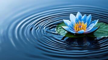 Serene Blue Water Lily Flower Blooming on a Calm Pond Surface with Gentle Ripples photo